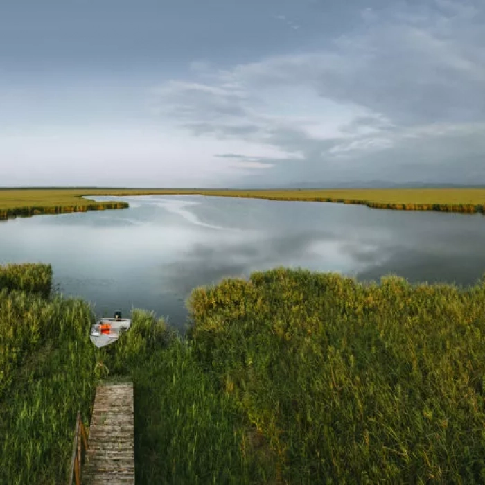 Kolkheti-National-Park-1000x517