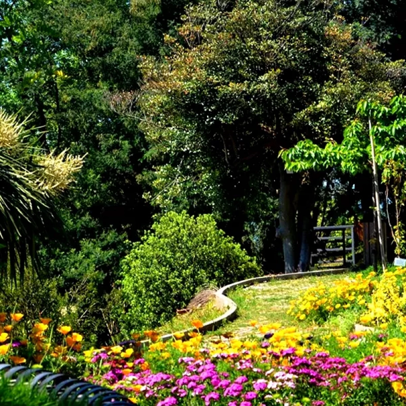 botanikuri-5a23f-002